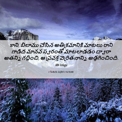 Picture 06 - 2 పేతురు పత్రిక 2:16 TELIRV - కాని, బిలాము చేసిన - Bible Verse Picture
