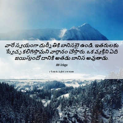 Picture 06 - 2 పేతురు పత్రిక 2:19 TELIRV - వారే స్వయంగా - Bible Verse Picture