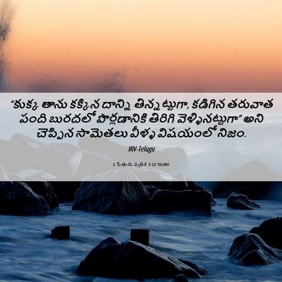 Picture 06 - 2 పేతురు పత్రిక 2:22 TELIRV - “కుక్క తాను - Bible Verse Picture
