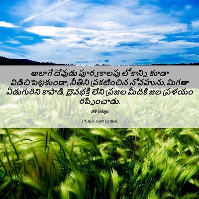 Picture 06 - 2 పేతురు పత్రిక 2:5 TELIRV - అలాగే దేవుడు - Bible Verse Picture