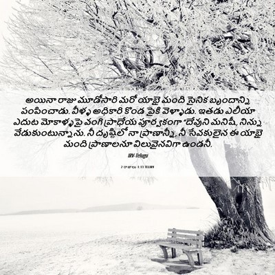 Picture 06 - 2 రాజులు 1:13 TELIRV - అయినా రాజు - Bible Verse Picture