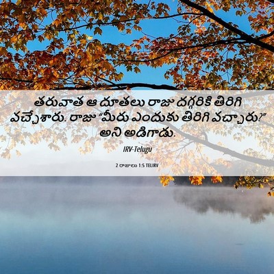 Picture 06 - 2 రాజులు 1:5 TELIRV - తరువాత ఆ దూతలు - Bible Verse Picture