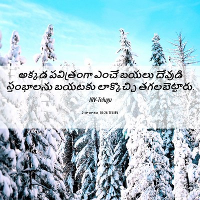 Picture 06 - 2 రాజులు 10:26 TELIRV - అక్కడ పవిత్రంగా - Bible Verse Picture