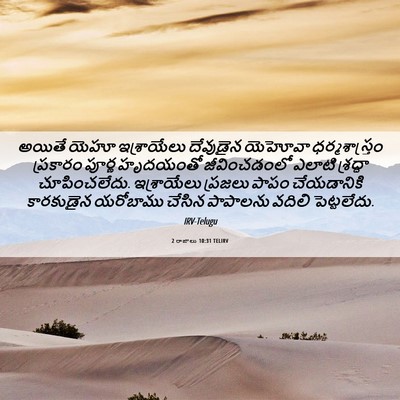 Picture 06 - 2 రాజులు 10:31 TELIRV - అయితే యెహూ - Bible Verse Picture