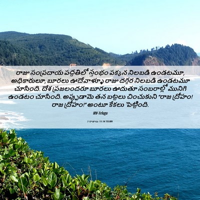 Picture 06 - 2 రాజులు 11:14 TELIRV - రాజు సంప్రదాయ - Bible Verse Picture