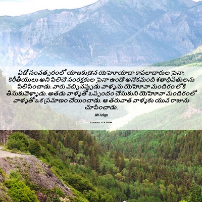 Picture 06 - 2 రాజులు 11:4 TELIRV - ఏడో సంవత్సరంలో - Bible Verse Picture