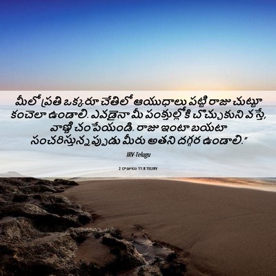 Picture 06 - 2 రాజులు 11:8 TELIRV - మీలో ప్రతి ఒక్కరూ - Bible Verse Picture