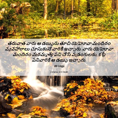 Picture 06 - 2 రాజులు 12:11 TELIRV - తరువాత వారు ఆ - Bible Verse Picture