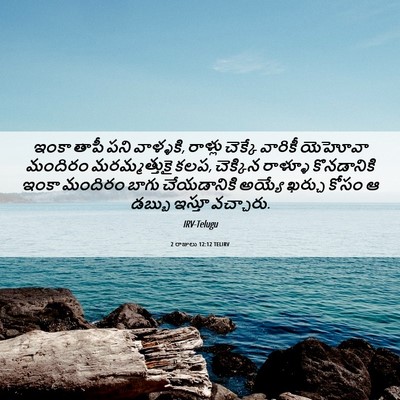 Picture 06 - 2 రాజులు 12:12 TELIRV - ఇంకా తాపీ పని - Bible Verse Picture