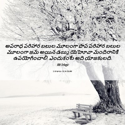 Picture 06 - 2 రాజులు 12:16 TELIRV - అపరాధ పరిహార బలుల - Bible Verse Picture