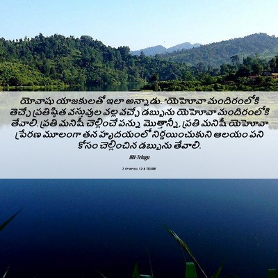 Picture 06 - 2 రాజులు 12:4 TELIRV - యోవాషు యాజకులతో - Bible Verse Picture