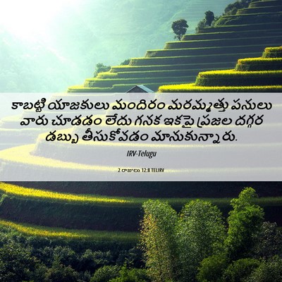 Picture 06 - 2 రాజులు 12:8 TELIRV - కాబట్టి యాజకులు - Bible Verse Picture