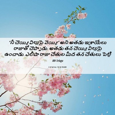 Picture 06 - 2 రాజులు 13:16 TELIRV - “నీ చెయ్యి - Bible Verse Picture