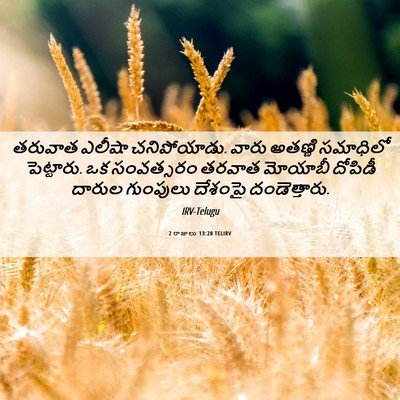 Picture 06 - 2 రాజులు 13:20 TELIRV - తరువాత ఎలీషా - Bible Verse Picture