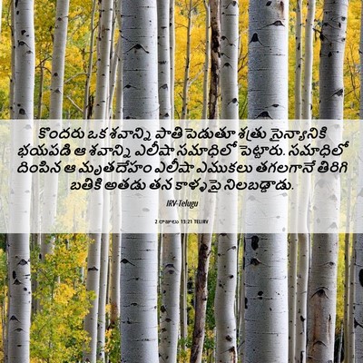 Picture 06 - 2 రాజులు 13:21 TELIRV - కొందరు ఒక శవాన్ని - Bible Verse Picture
