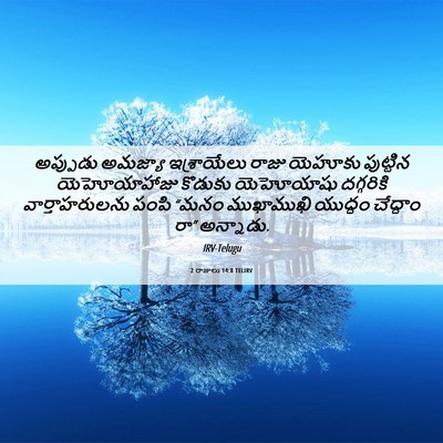 Picture 06 - 2 రాజులు 14:8 TELIRV - అప్పుడు అమజ్యా - Bible Verse Picture