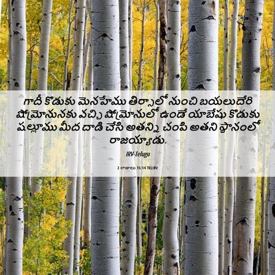 Picture 06 - 2 రాజులు 15:14 TELIRV - గాదీ కొడుకు - Bible Verse Picture