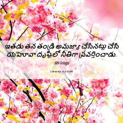 Picture 06 - 2 రాజులు 15:3 TELIRV - ఇతడు తన తండ్రి - Bible Verse Picture