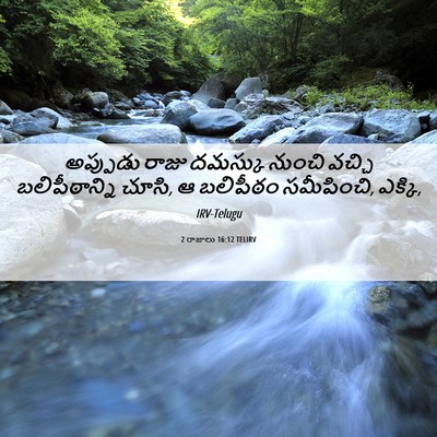 Picture 06 - 2 రాజులు 16:12 TELIRV - అప్పుడు రాజు - Bible Verse Picture