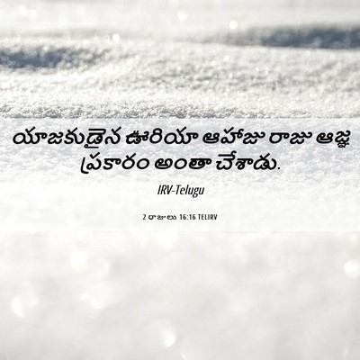 Picture 06 - 2 రాజులు 16:16 TELIRV - యాజకుడైన ఊరియా - Bible Verse Picture