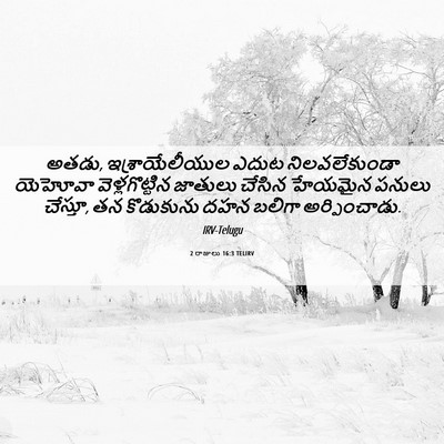 Picture 06 - 2 రాజులు 16:3 TELIRV - అతడు, - Bible Verse Picture