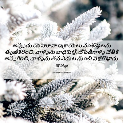 Picture 06 - 2 రాజులు 17:20 TELIRV - అప్పుడు యెహోవా - Bible Verse Picture