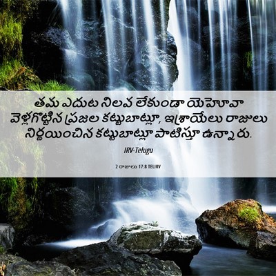 Picture 06 - 2 రాజులు 17:8 TELIRV - తమ ఎదుట నిలవ - Bible Verse Picture