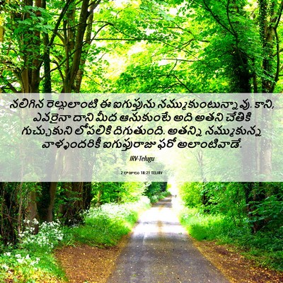 Picture 06 - 2 రాజులు 18:21 TELIRV - నలిగిన - Bible Verse Picture