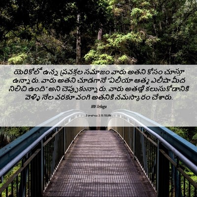 Picture 06 - 2 రాజులు 2:15 TELIRV - యెరికోలో ఉన్న - Bible Verse Picture