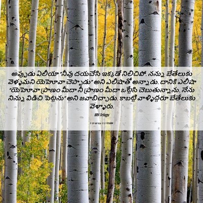Picture 06 - 2 రాజులు 2:2 TELIRV - అప్పుడు ఏలీయా - Bible Verse Picture