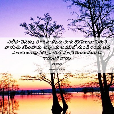 Picture 06 - 2 రాజులు 2:24 TELIRV - ఎలీషా వెనక్కు - Bible Verse Picture