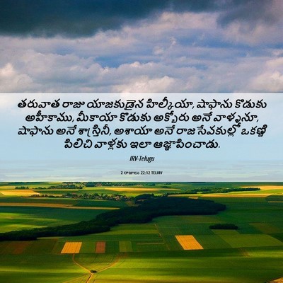 Picture 06 - 2 రాజులు 22:12 TELIRV - తరువాత రాజు - Bible Verse Picture