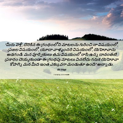 Picture 06 - 2 రాజులు 22:13 TELIRV - “మీరు వెళ్లి, - Bible Verse Picture