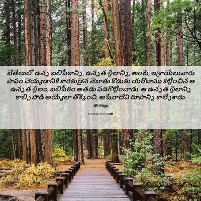Picture 06 - 2 రాజులు 23:15 TELIRV - బేతేలులో ఉన్న - Bible Verse Picture