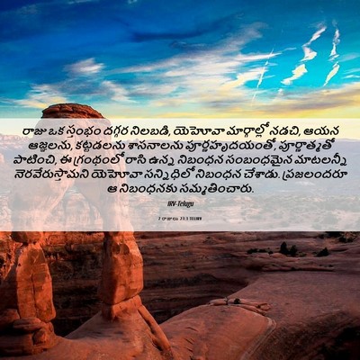 Picture 06 - 2 రాజులు 23:3 TELIRV - రాజు ఒక స్తంభం - Bible Verse Picture