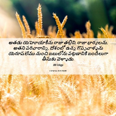 Picture 06 - 2 రాజులు 24:15 TELIRV - అతడు యెహోయాకీను - Bible Verse Picture