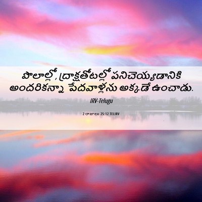 Picture 06 - 2 రాజులు 25:12 TELIRV - పొలాల్లో, - Bible Verse Picture