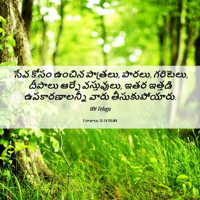 Picture 06 - 2 రాజులు 25:14 TELIRV - సేవ కోసం ఉంచిన - Bible Verse Picture