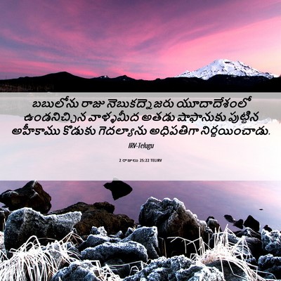Picture 06 - 2 రాజులు 25:22 TELIRV - బబులోను రాజు - Bible Verse Picture