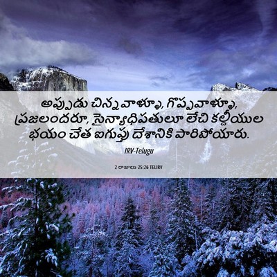 Picture 06 - 2 రాజులు 25:26 TELIRV - అప్పుడు - Bible Verse Picture