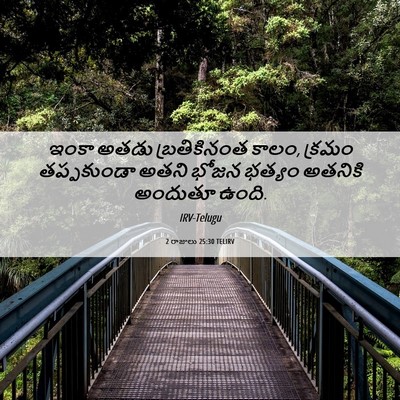 Picture 06 - 2 రాజులు 25:30 TELIRV - ఇంకా అతడు - Bible Verse Picture