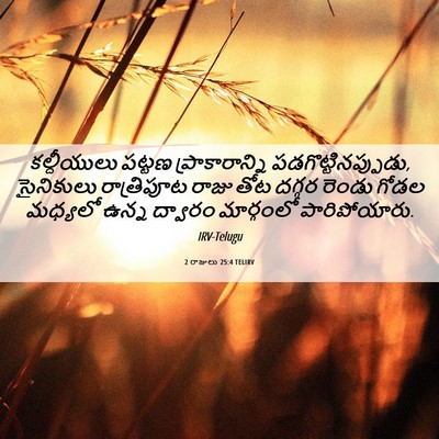 Picture 06 - 2 రాజులు 25:4 TELIRV - కల్దీయులు పట్టణ - Bible Verse Picture
