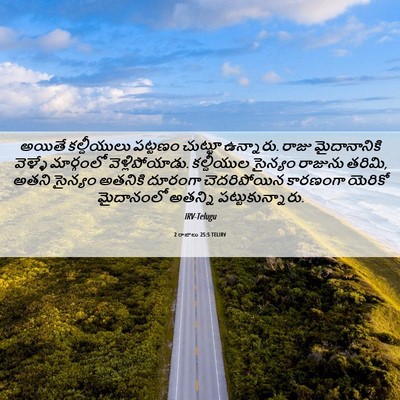Picture 06 - 2 రాజులు 25:5 TELIRV - అయితే కల్దీయులు - Bible Verse Picture