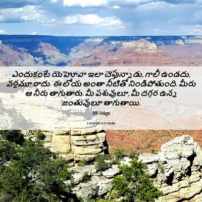 Picture 06 - 2 రాజులు 3:17 TELIRV - ఎందుకంటే యెహోవా - Bible Verse Picture