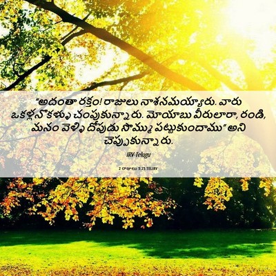 Picture 06 - 2 రాజులు 3:23 TELIRV - “అదంతా రక్తం! - Bible Verse Picture