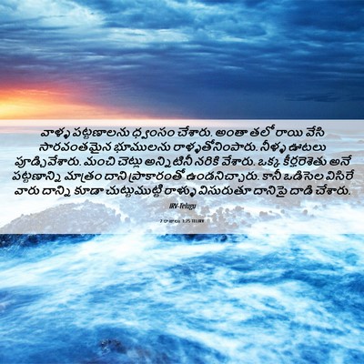 Picture 06 - 2 రాజులు 3:25 TELIRV - వాళ్ళ పట్టణాలను - Bible Verse Picture