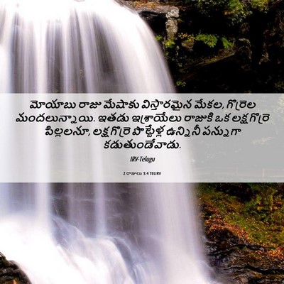 Picture 06 - 2 రాజులు 3:4 TELIRV - మోయాబు రాజు - Bible Verse Picture
