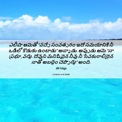 Picture 06 - 2 రాజులు 4:16 TELIRV - ఎలీషా ఆమెతో - Bible Verse Picture