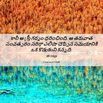 Picture 06 - 2 రాజులు 4:17 TELIRV - కానీ ఆ స్త్రీ - Bible Verse Picture