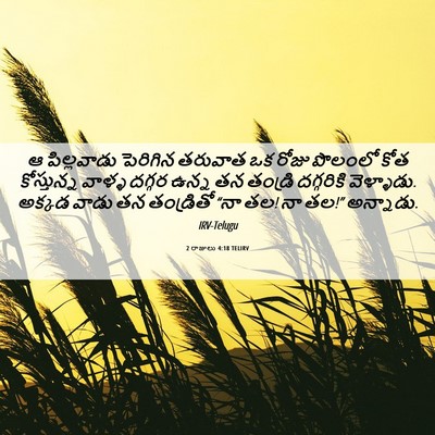 Picture 06 - 2 రాజులు 4:18 TELIRV - ఆ పిల్లవాడు - Bible Verse Picture